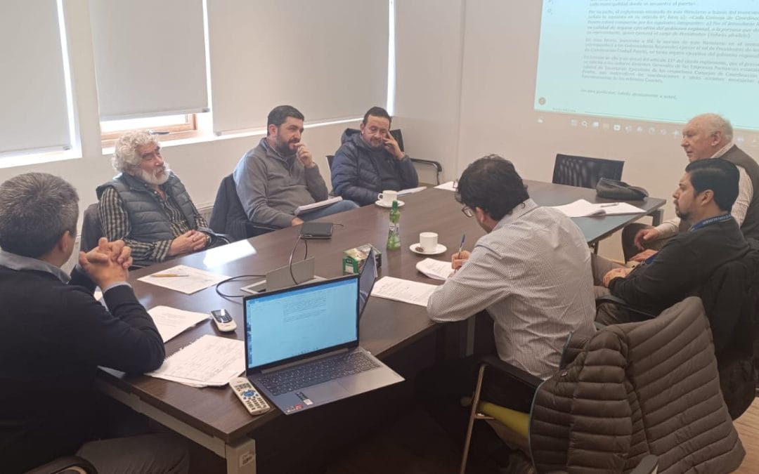Comité técnico asesor del Consejo Ciudad Puerto de Aysén reanuda sesiones y fija programa anual de trabajo